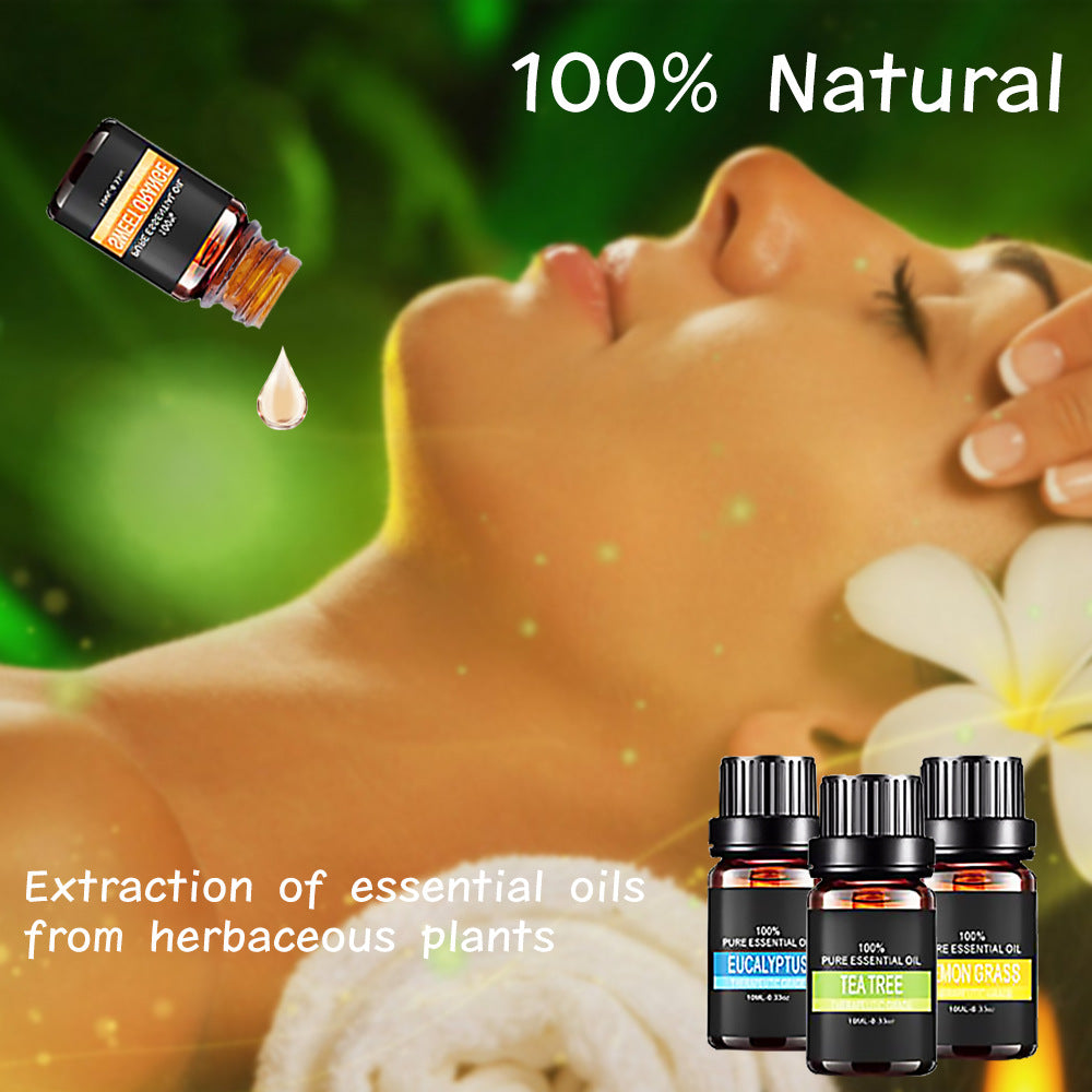 Organic Essential Oils Set - Top-Selling Aromatherapy Gift Kit